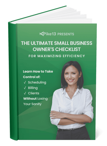 DLC - Mockup - Book View - The Ultimate Small Business Owners Checklist for Maximizing Efficiency
