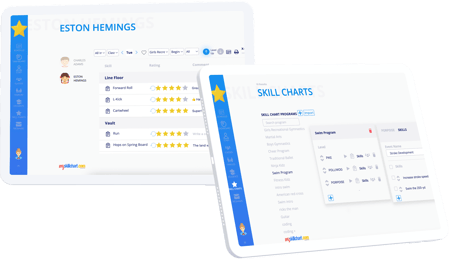 msc skill chart student profile